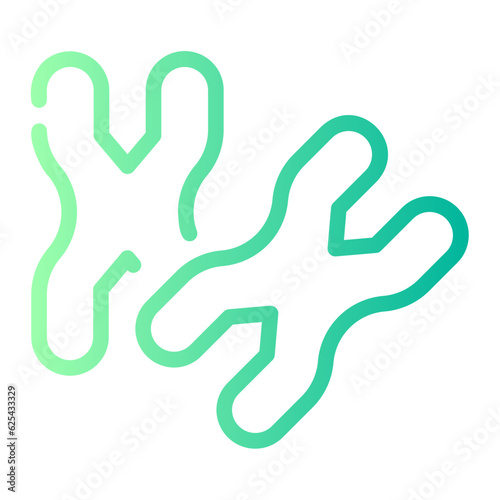 chromosome Line Gradient Icon
