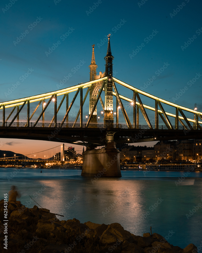 Obraz premium Elisabeth bridge, Budapest