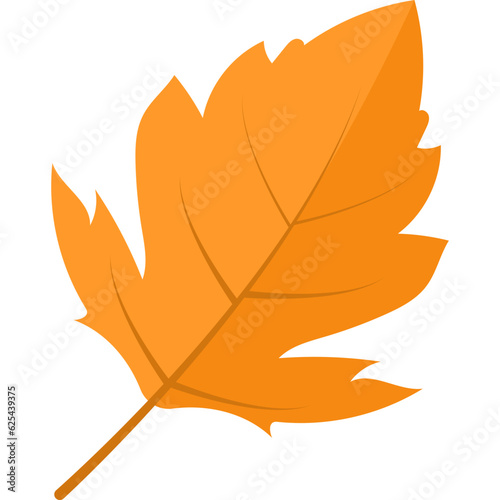 Autum Leaf