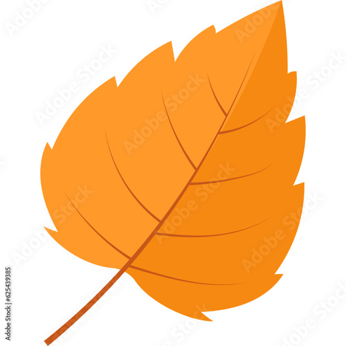 Autum Leaf