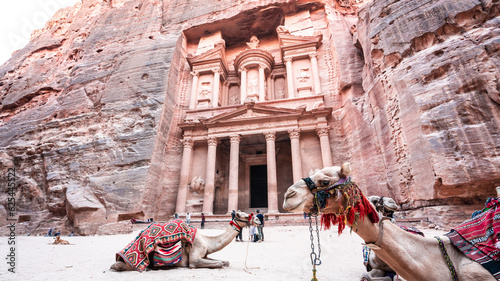 view of treasury with camels at petra jordan