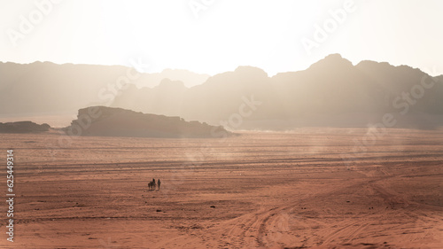 Sunset at the red Wadi Rum desert with two camels in the far  Jordan