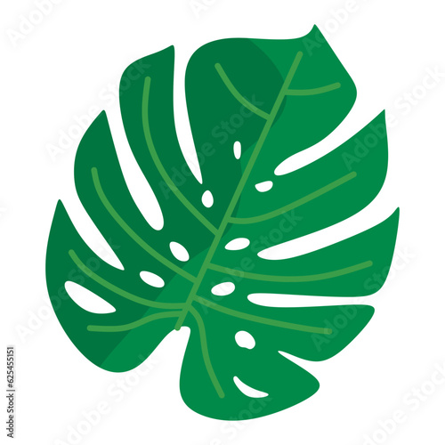 Green Monstera Tropical Leaf
