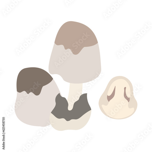 フクロタケ。フラットなベクターイラスト。
Paddy straw mushroom. Flat designed vector illustration.