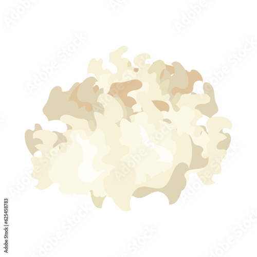 ハナビラタケ。フラットなベクターイラスト。
Cauliflower fungus. Flat designed vector illustration.