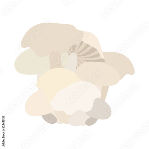 ニオウシメジ。フラットなベクターイラスト。
Macrocybe gigantea. Flat designed vector illustration.