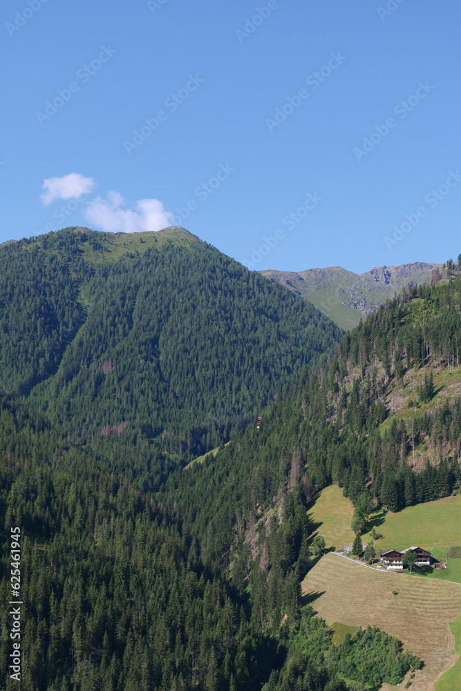 Obraz premium Almsommer