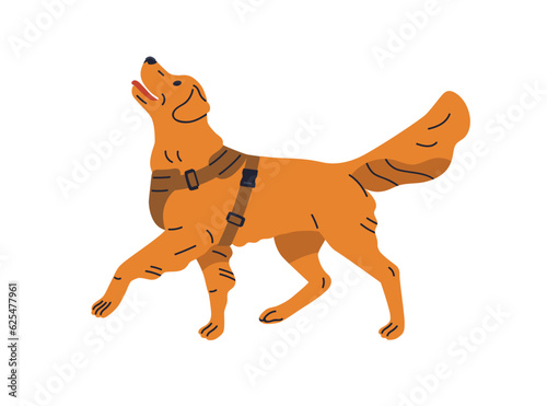Service dog, canine animal. Trained obedient doggy. Faithful educated smart pet of golden retriever breed, standing and looking up with obedience. Flat vector illustration isolated on white background