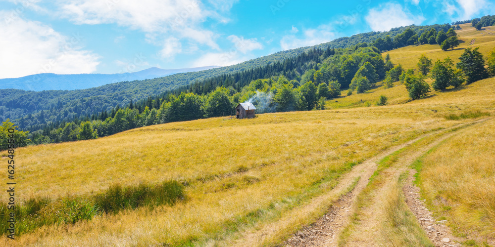 rural road through green meadows on forested rolling hills. carpathian countryside in summer. mountain range in the distance beneath a blue sky with fluffy clouds