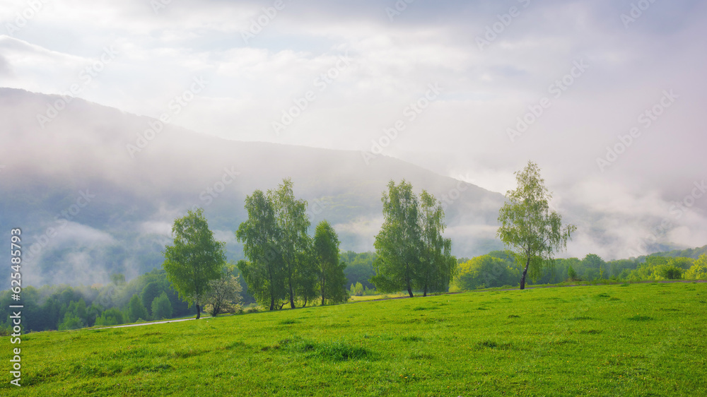 carpathian countryside with forested hills. view in to the distant valley full of fog. cloudy morning in springtime