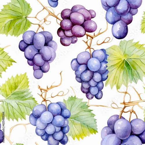 Grapes seamless pattern vector