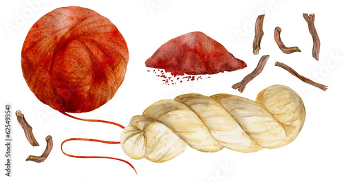 Hand drawn watercolor madder root coloring natural plant dye, materials. Hobby, handmade fabric. Illustration isolated composition, white background. Shop logo, print, website, business card, booklet photo