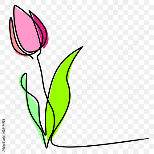 Tulip, line art contour drawing vector
