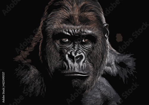 close-up illustration of a gorilla on a black background
