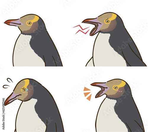 キガシラペンギンの喜怒哀楽セット