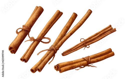 ui set illustration of brown dry cinnamon wrapped stick isolated on white baclground photo
