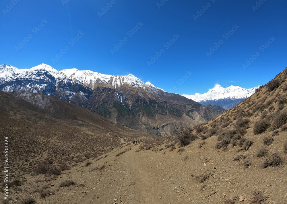 Mustang Horse riding journey