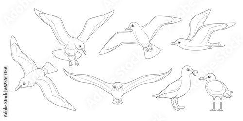 Outline flying seagulls. Bird in flight isolated on a white background.  Soaring seabird silhouette. Vector simple icons.
