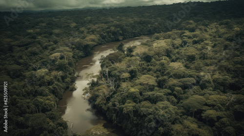 Amazon rainforest with long lake