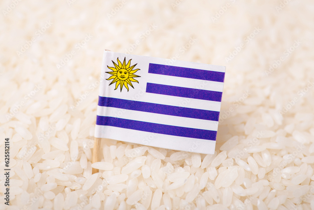 Flag of Uruguay on harvested rice. Growing rice in Uruguay concept