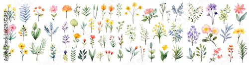 Big set of watercolor elements of different flowers field
