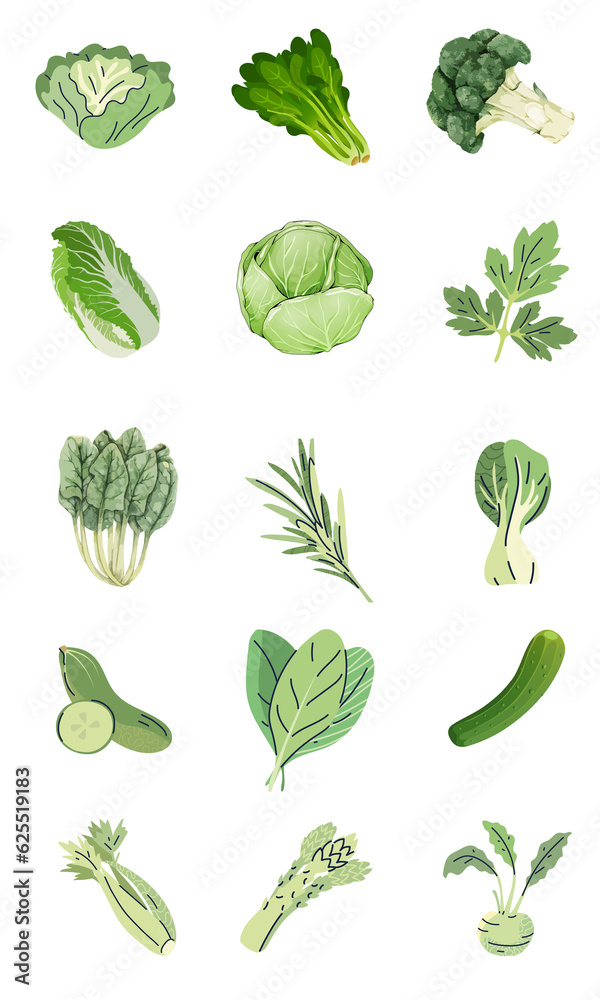 vegetable vegetable