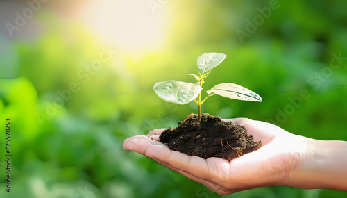 plant in hands, tree, nature, new, earth, leaf, 