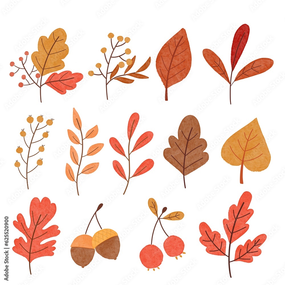 watercolor illustration autumn branches leaves and acorns on a white background