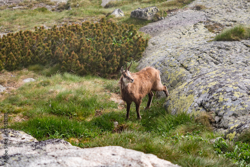 High Tatras hiking in Slovakia 