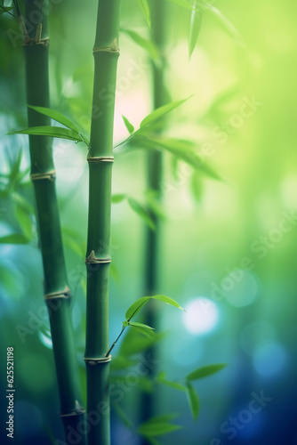 Bamboo tree in a park