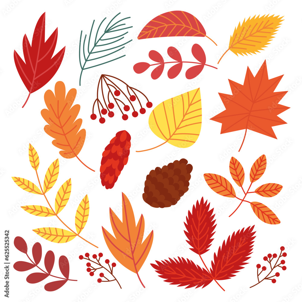 Obraz premium Trendy autumn foliage set. Vector different autumn leaves and berries set