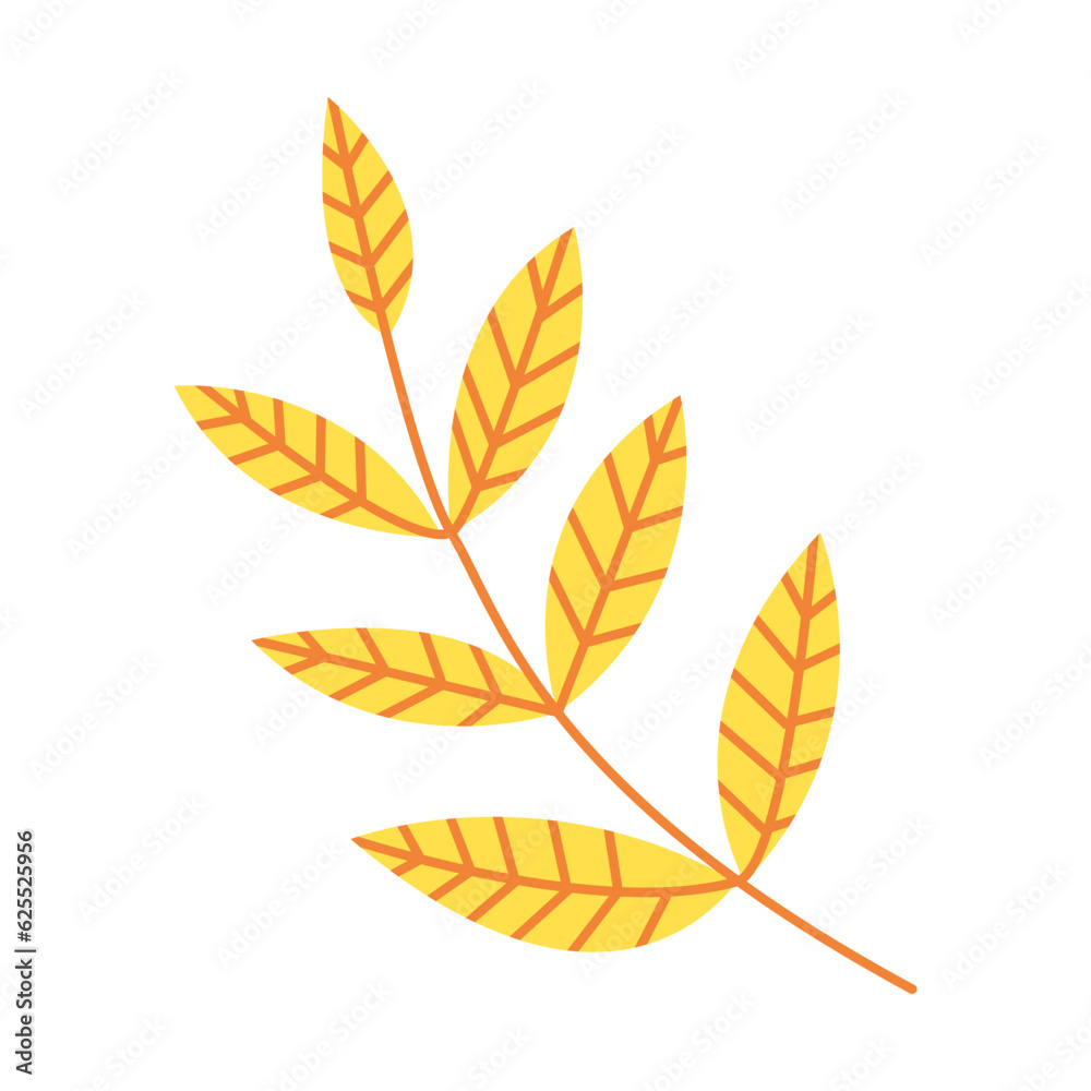 Autumn ash tree leaf vector illustration Autumn ash tree leaf vector illustration