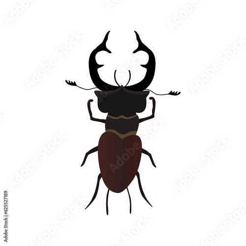 illustration of a bug, illustration of a bug, stag beetle, insect kingdom, Bug biodiversity, transparent background PNG