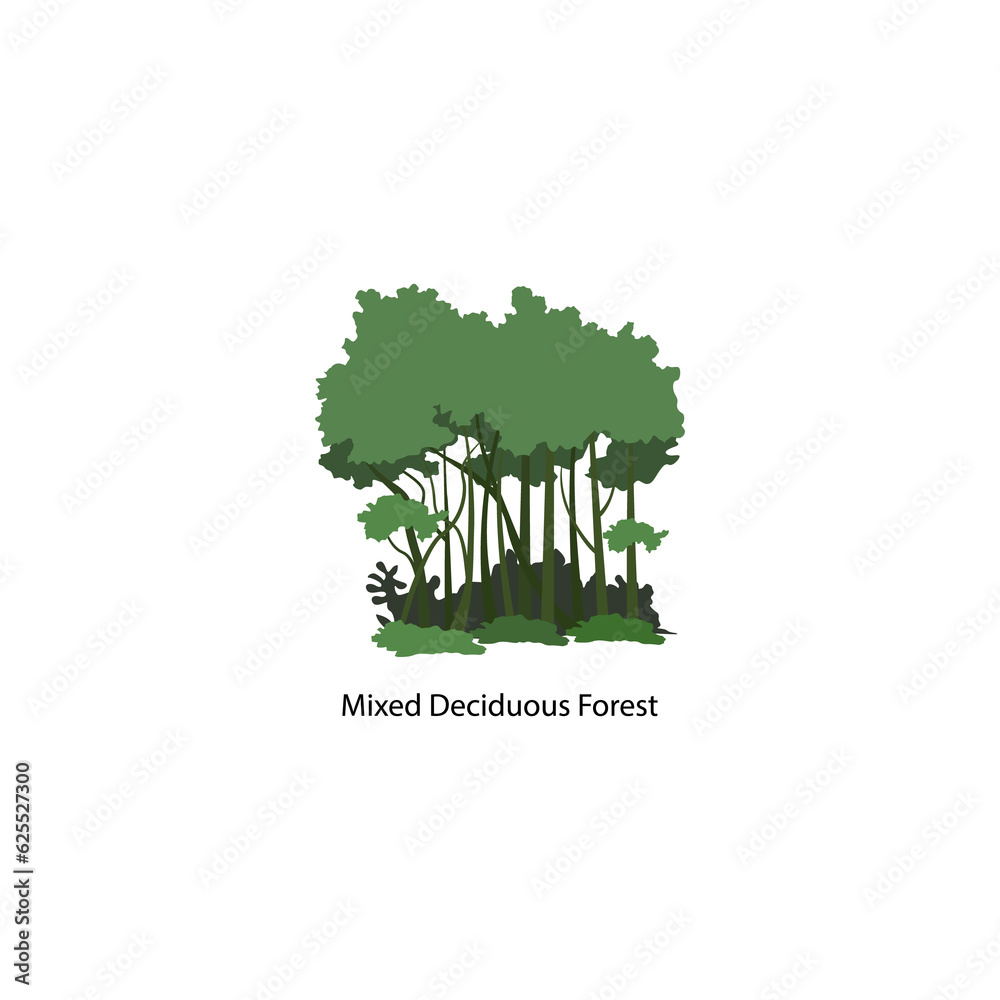 illustration of biology and forests, equatorial rainforest, evergreen rainforests, forest painting, ecosystem, transparent background PNG