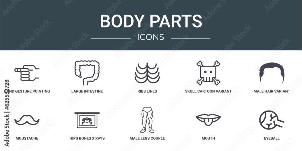 set of 10 outline web body parts icons such as hand gesture pointing to the left, large intestine, ribs lines, skull cartoon variant, male hair variant, moustache, hips bones x rays vision vector