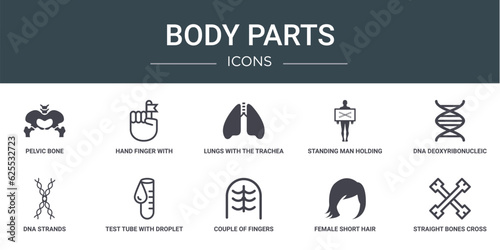 set of 10 outline web body parts icons such as pelvic bone, hand finger with a ribbon, lungs with the trachea, standing man holding an x rays image, dna deoxyribonucleic acid, dna strands, test tube