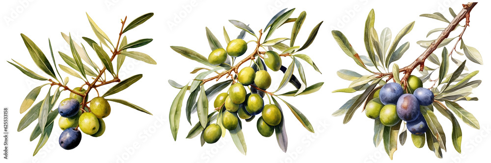 Olives seamless pattern color sketch style hand drawn background, olive branches with leaves on white background. Italian food. ai Olives seamless pattern color sketch style hand drawn background, olive branches with leaves on white background. Italian food. ai