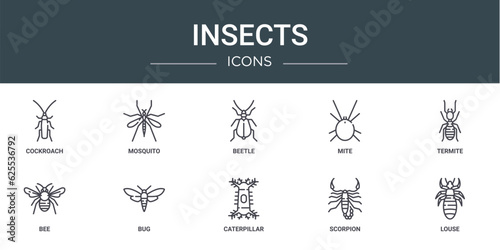 set of 10 outline web insects icons such as cockroach, mosquito, beetle, mite, termite, bee, bug vector icons for report, presentation, diagram, web design, mobile app photo