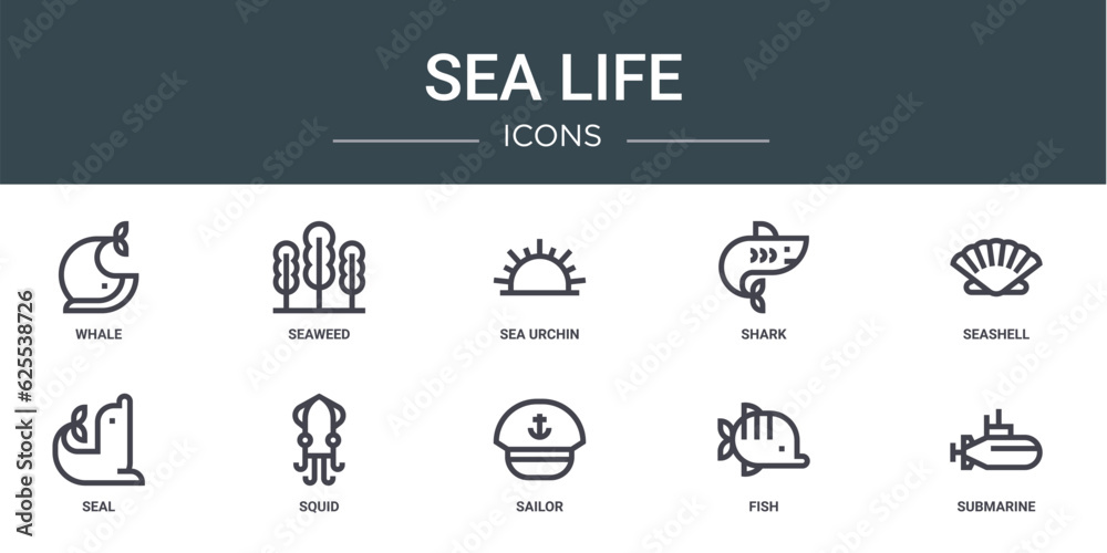 Naklejka premium set of 10 outline web sea life icons such as whale, seaweed, sea urchin, shark, seashell, seal, squid vector icons for report, presentation, diagram, web design, mobile app