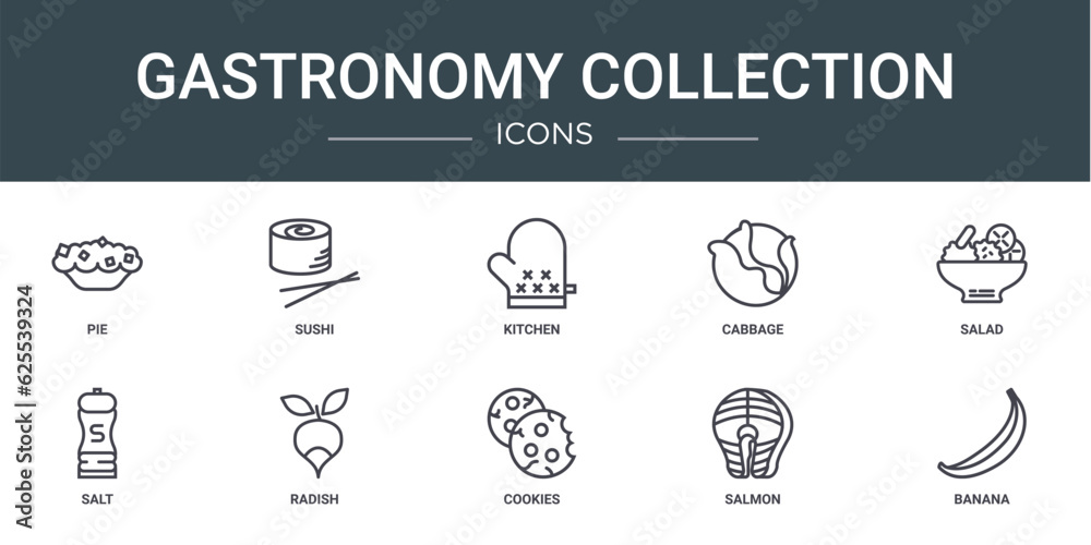 set of 10 outline web gastronomy collection icons such as pie, sushi, kitchen, cabbage, salad, salt, radish vector icons for report, presentation, diagram, web design, mobile app