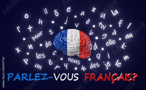 Do you speak French translation. Learning Foreign language Human brain glowing letters articles words 3d render. Studying Native speakers Memory improvement . Online course education Listening Reading