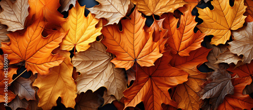 Generative ai illustration of a Creative autumn leaves banner panorama wallpaper