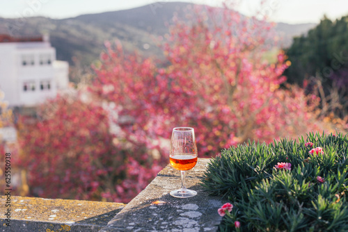A glass of orange beverage - Moscatel de Setubal on a terrace with trees view, sunset, Portugal