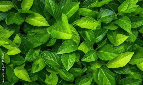 Green foliage wallpaper. Forest group leaves. Created with generative AI tools