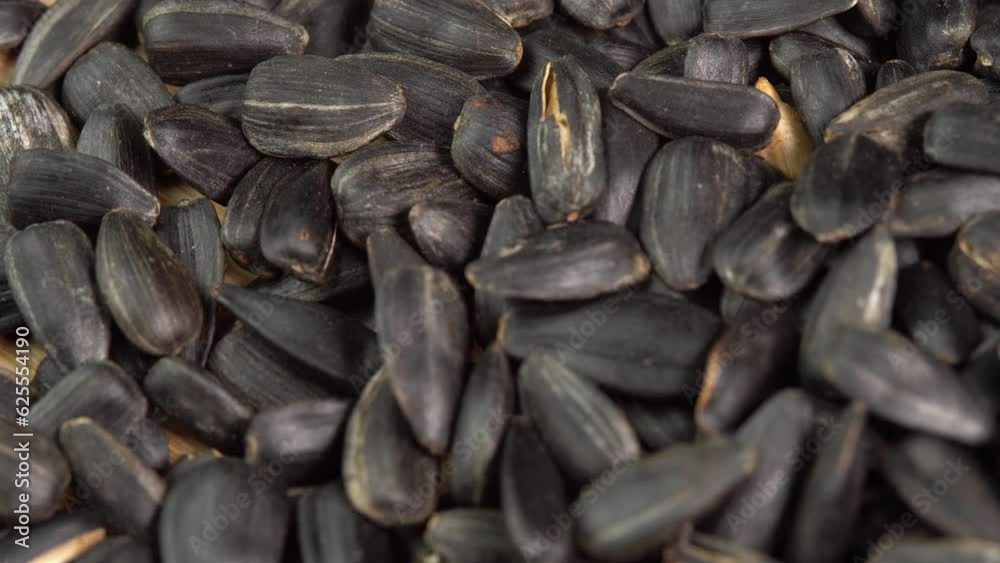 Roasted Sunflower Seeds Close-up Pouring on table. Harvesting Sunflower Unpeeled Seeds, Healthy Source of Vitamins in Vegan Food. Raw Materials for Sunflower Oil Roasted Sunflower Seeds Close-up Pouring on table. Harvesting Sunflower Unpeeled Seeds, Healthy Source of Vitamins in Vegan Food. Raw Materials for Sunflower Oil