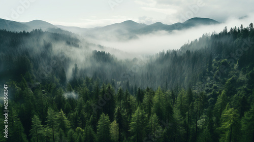 Birds eye view of misty forest landscape. Generative AI