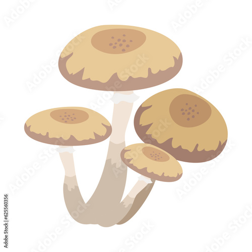 ナラタケ。フラットなベクターイラスト。
Honey mushroom. Flat designed vector illustration.