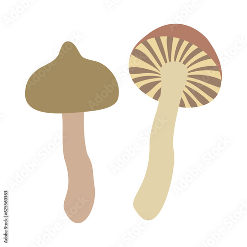 クギタケ。フラットなベクターイラスト。
Brown slimecap (the copper spike). Flat designed vector illustration.