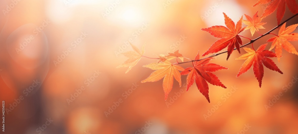 Autumn fall holiday seasonal banner landscape panorama - Closeup of colorful maple leaves on branch from a tree, with defocused background with bokeh (Generative Ai)