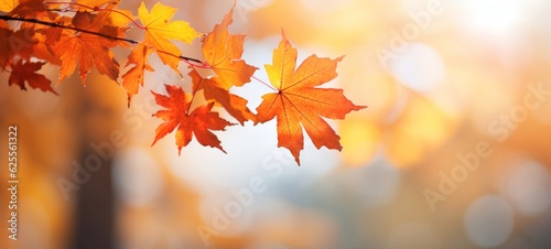 Autumn fall holiday seasonal banner landscape panorama - Closeup of colorful maple leaves on branch from a tree  with defocused background with bokeh  Generative Ai 